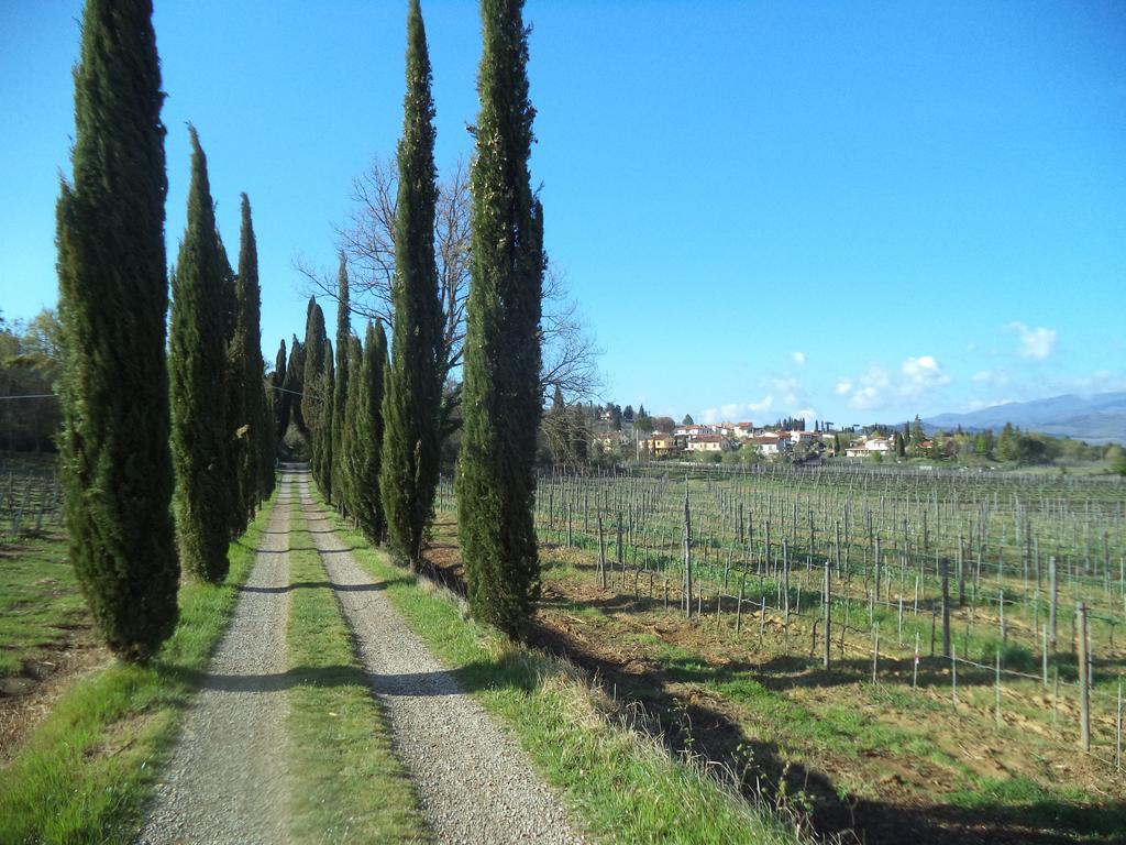Agriturismo Albergotti 아레초 외부 사진