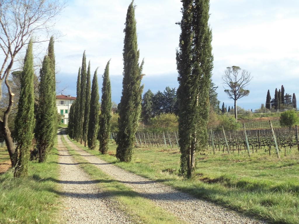 Agriturismo Albergotti 아레초 외부 사진