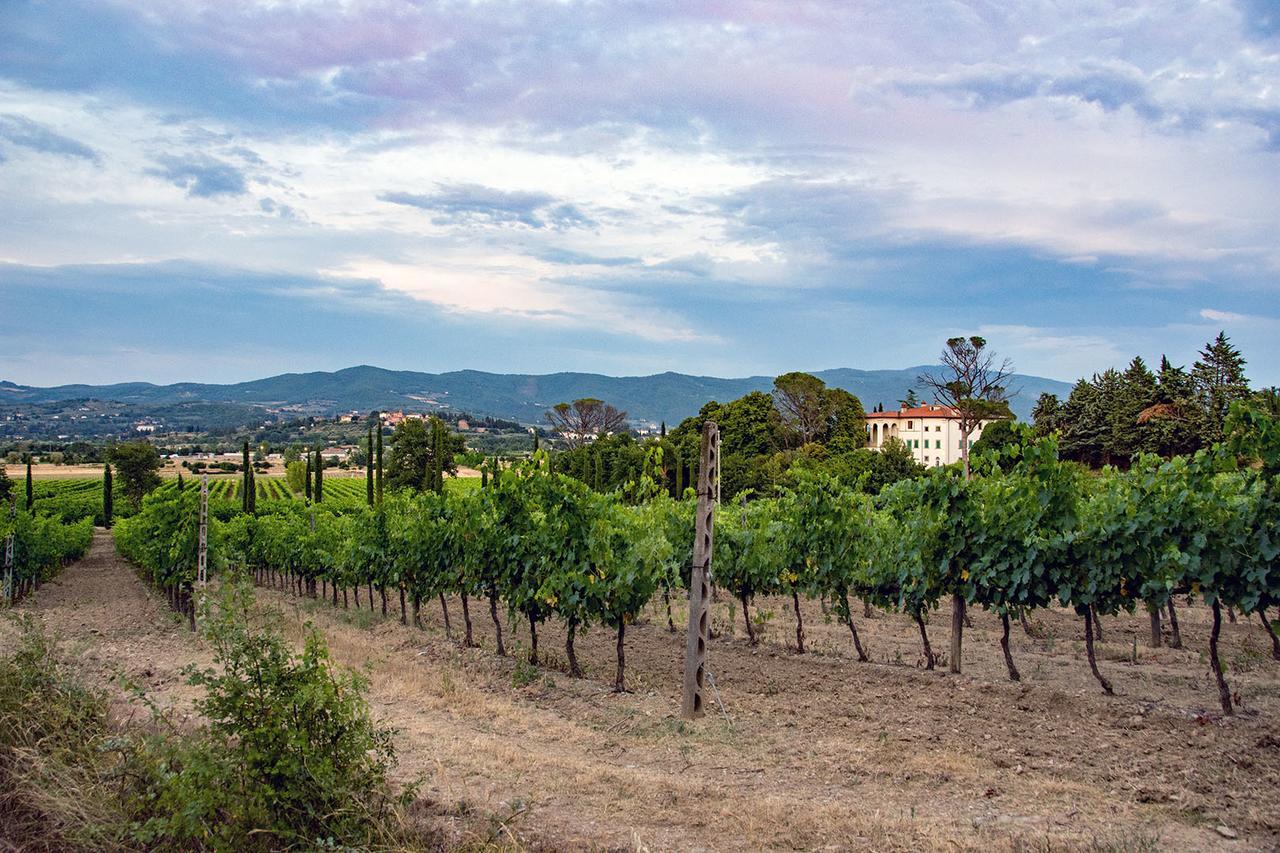 Agriturismo Albergotti 아레초 외부 사진