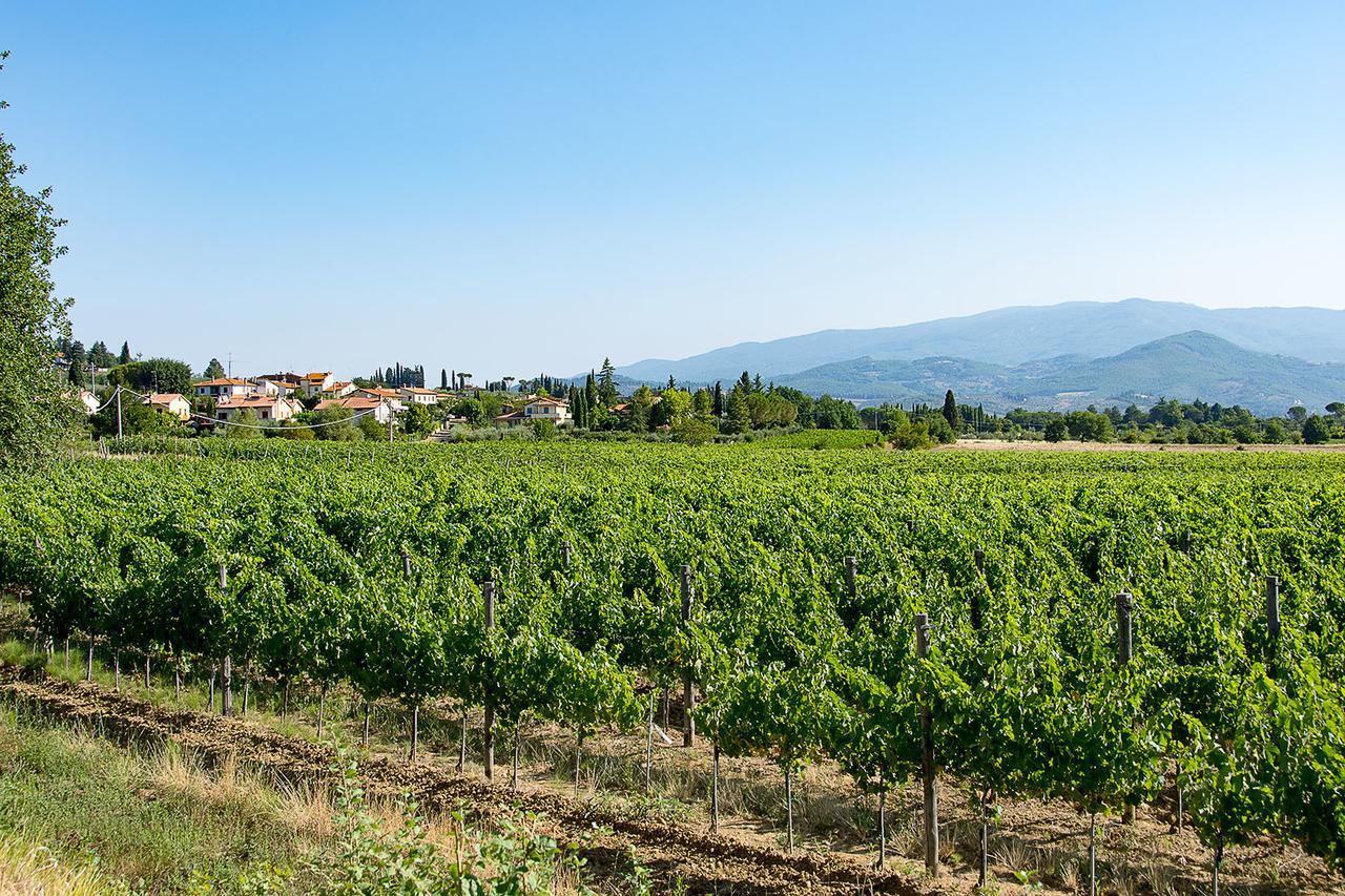 Agriturismo Albergotti 아레초 외부 사진